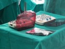 ND_MED_PLUS_Sep2016_7.jpg
